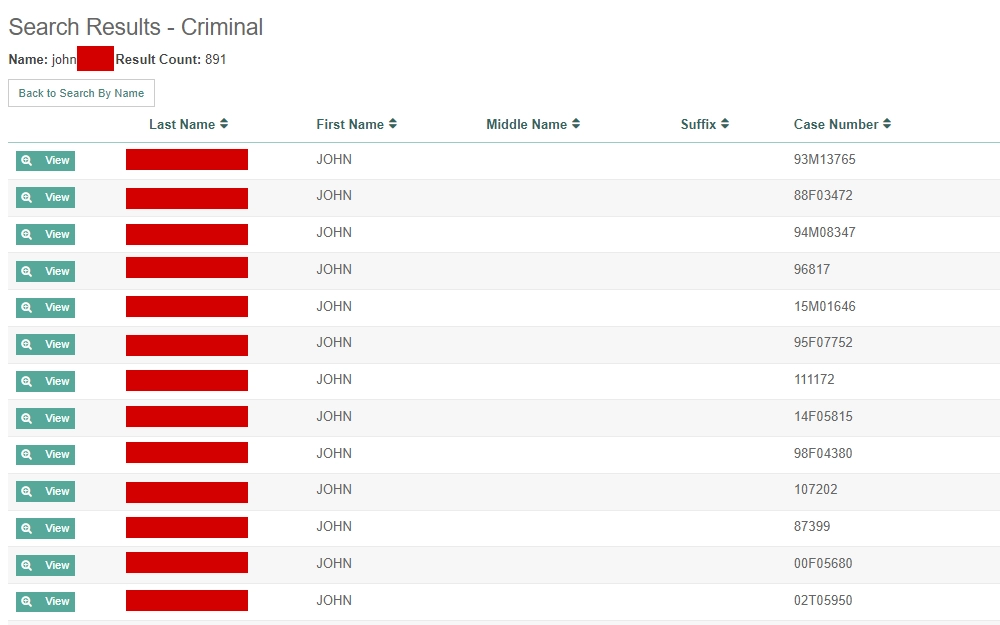A screenshot of the Public Case Access System search results when one searches a criminal by name, providing the list of criminals with their first and last name, case number, and a view button to find more information about that specific criminal.
